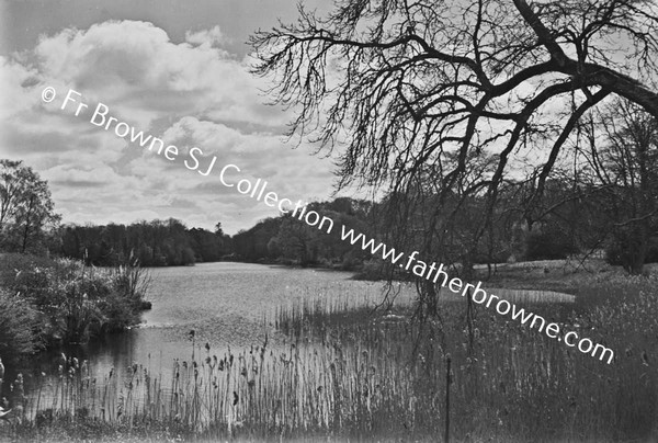 LAKE IN WINTER